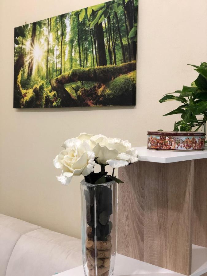 Sofihome ボローニャ エクステリア 写真
